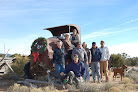 Hansen Lumber Co. Inc