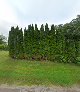 Negocio Jr Manske Woodworking Llc