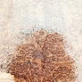 Jso Wood Products Inc