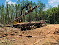Lower Dixie Timber Co Inc