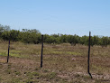 Negocio Texas Grown Cedar Products Llc