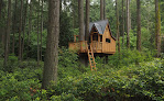 Negocio Wild Tree Woodworks